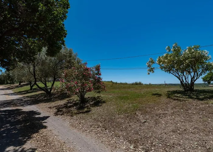 Maison Josee By Interhome Cervione